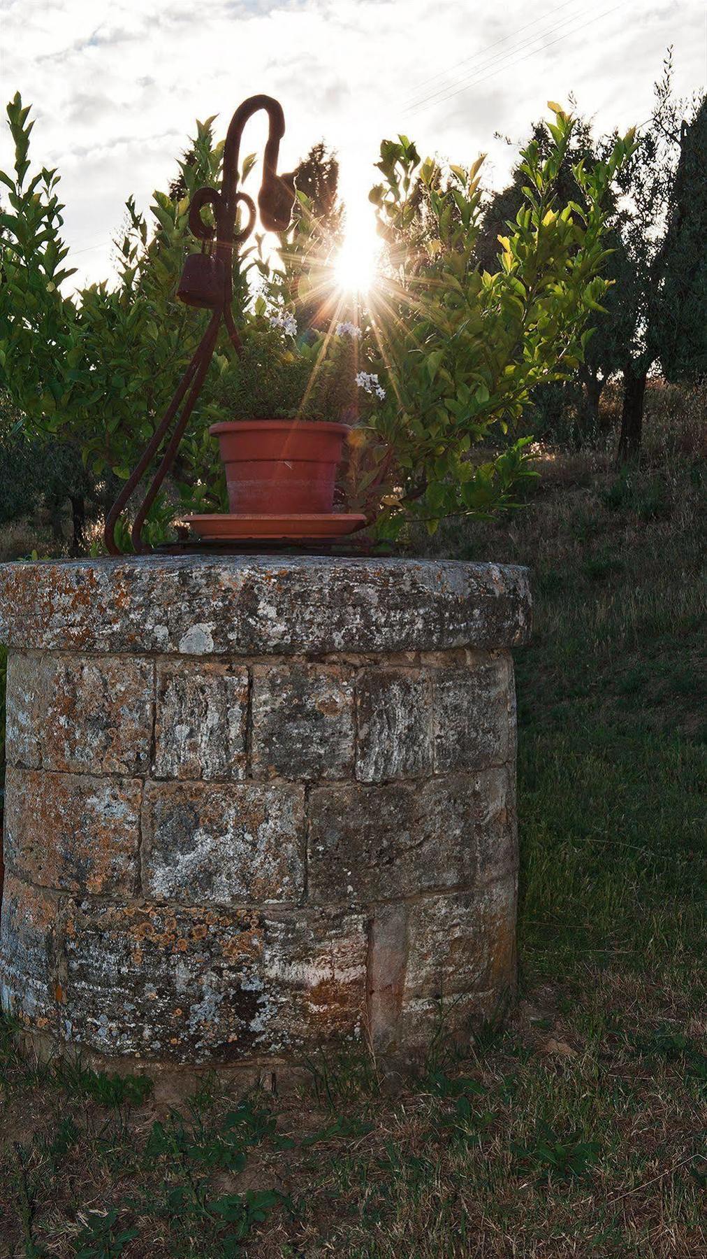 Agriturismo La Buca Di Bellugi San Quirico dʼOrcia Exterior foto